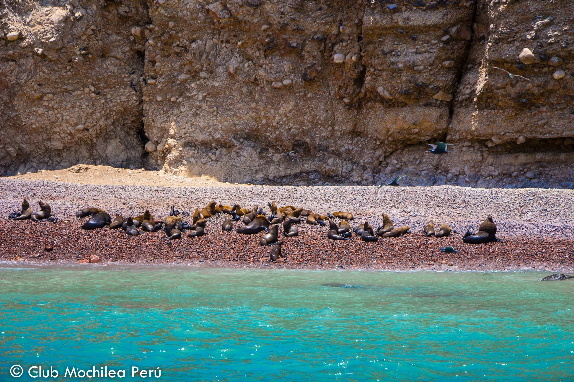 Mochilea Perú Travel