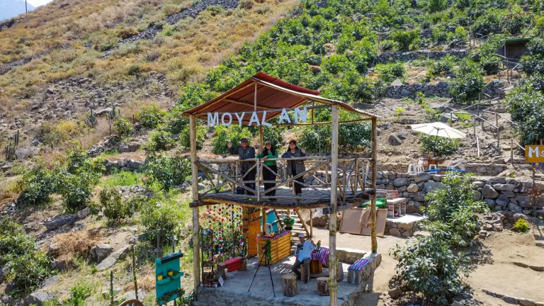MIRADOR DE MOYALÁN